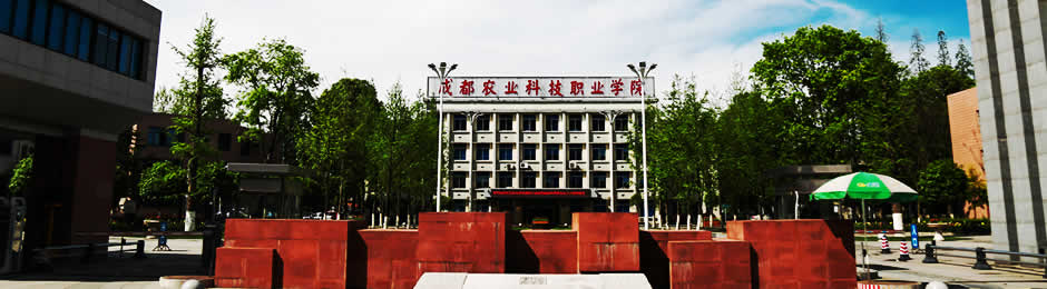 成都农业科技职业学院经济管理分院基本概况