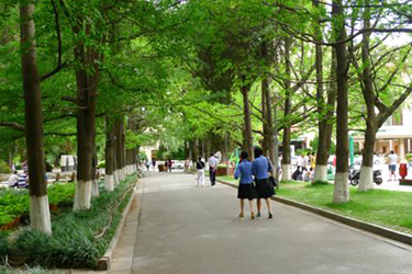 贵州省交通技师学院