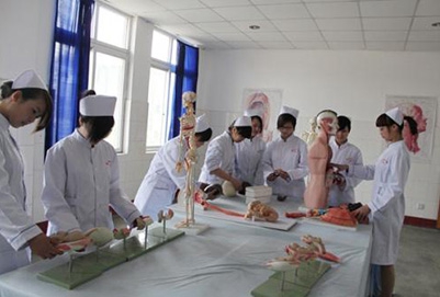 甘肃中医学院2022年排名