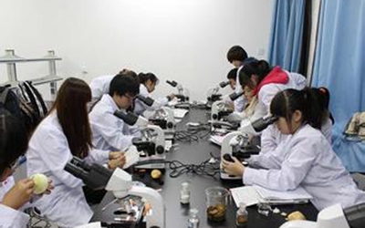 甘肃2022年400分能上护理学校吗
