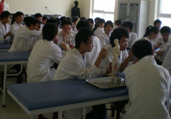 中医学专业