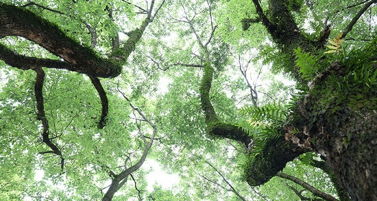 四川省质量技术监督学校