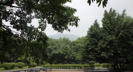 重庆知行卫生学校