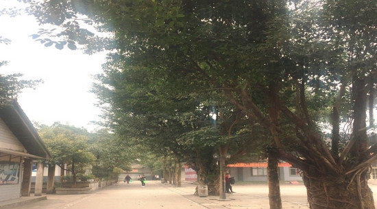 峨眉山市旅游学校