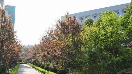 重庆医药经贸卫生学校