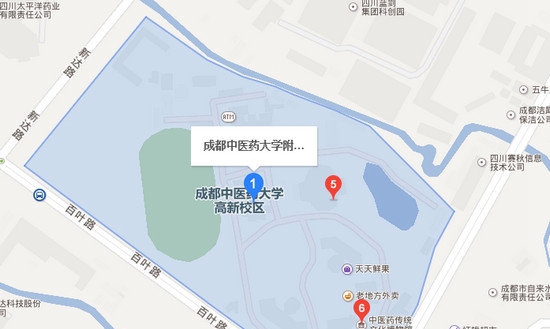 成都中医药大学附属医院针灸学校