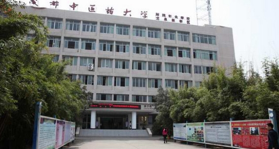 成都中医药大学附属医院针灸学校