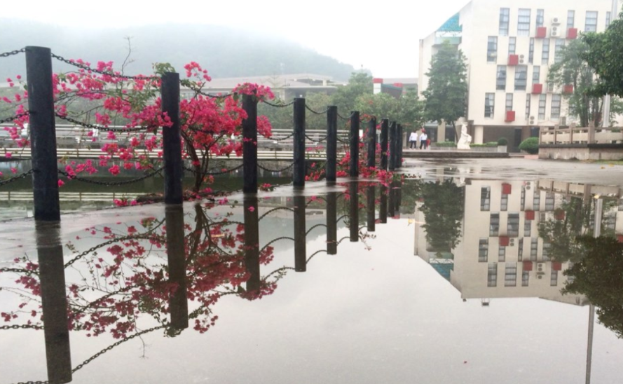 中山市中等专业学校开设专业、有哪些专业