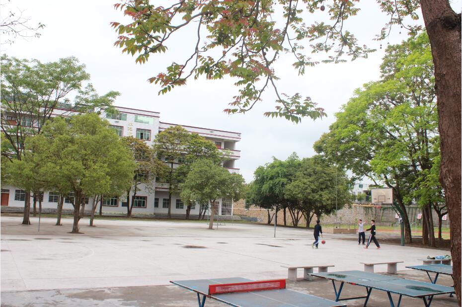 新丰县中等职业技术学校