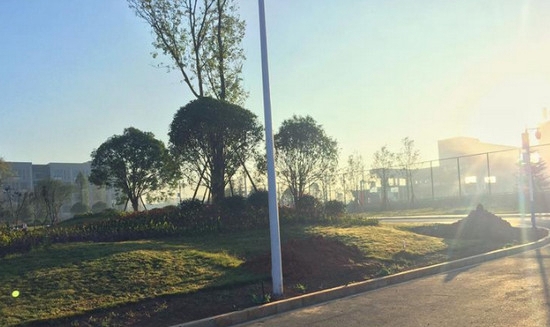 昭通卫生职业学院