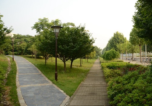 1637568512586795.jpg 卫生学校单招.jpg
