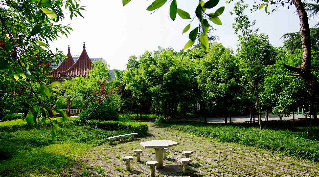 西南大学医学院