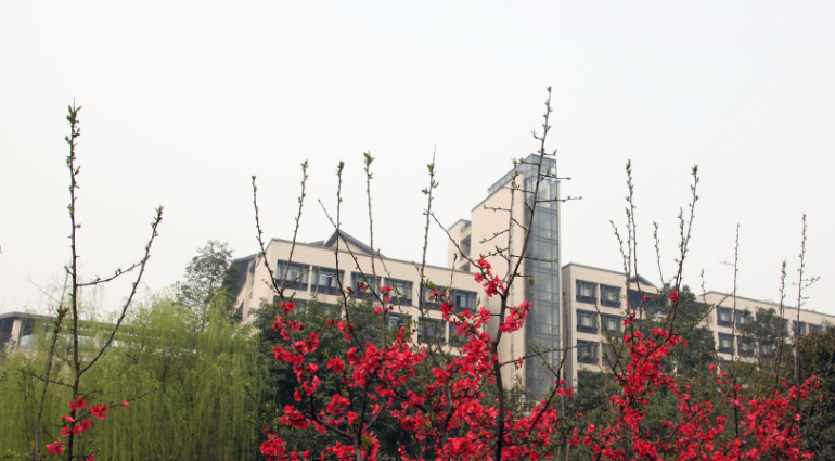 重庆理工大学医学院