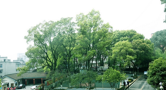 四川省质量技术监督学校