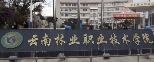2017云南单招