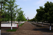 四川大学校园环境