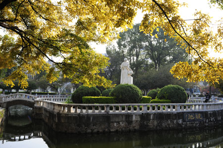云南师范大学丰收的背影 云南师范大学丰收的背影