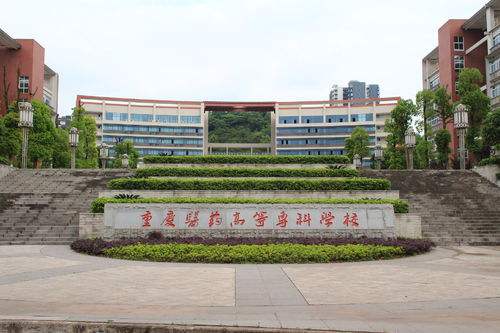 重庆医药高等专科学校校门