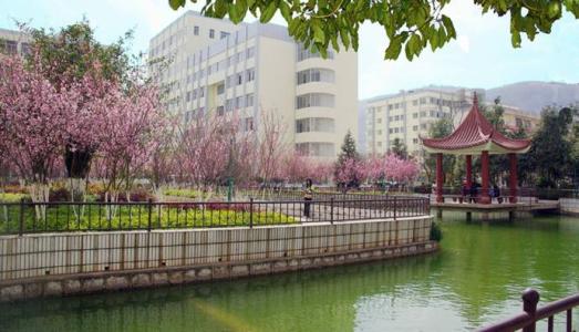 云南科技信息职业学院校园介绍