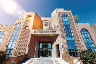 四川国际标榜职业学院有哪些招生要求