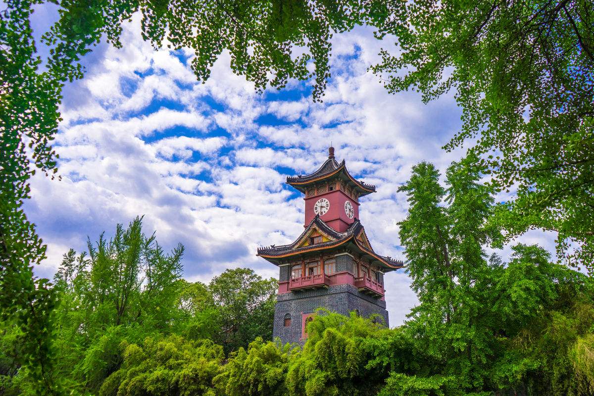 云南科技信息职业学院风景