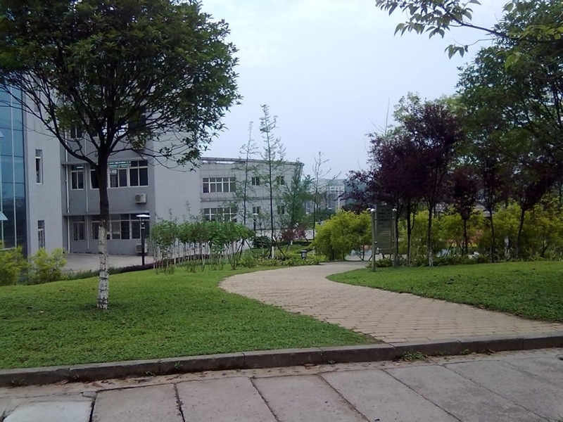 p00054292_800