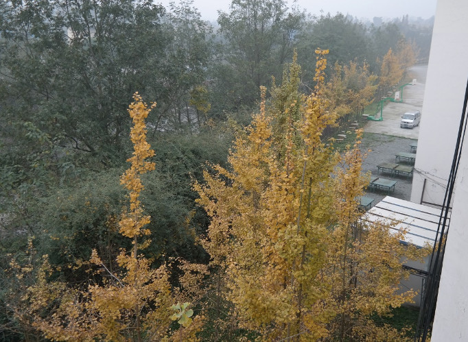 乐山市医药科技学校1