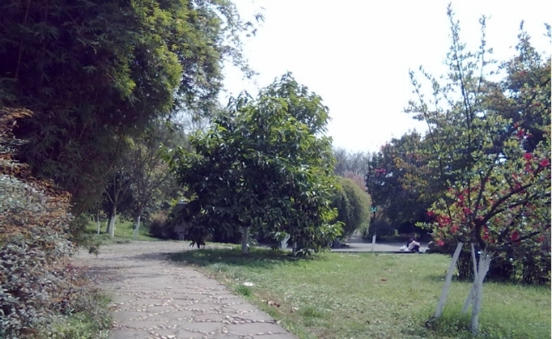 p00054300_800