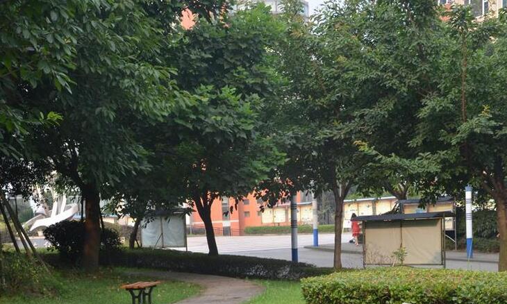 （四川卫生康复职业学院）校园环境