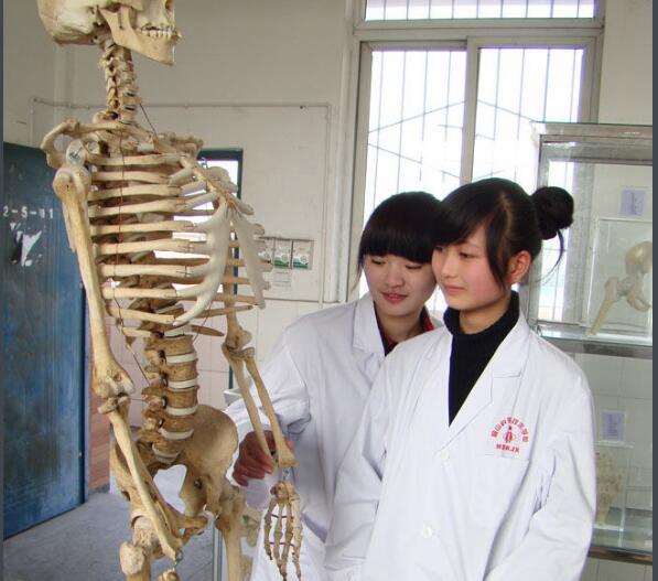 眉山卫生职业学校教学活动