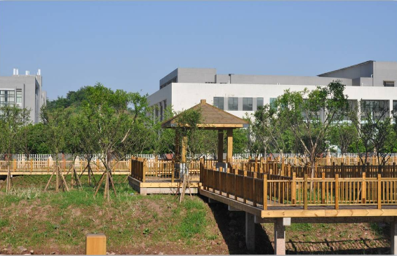 重庆医药高等专科学校校园环境